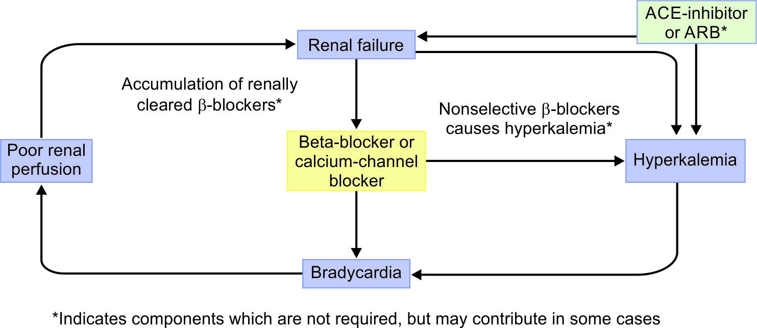 A Case Report of BRASH Syndrome (Bradycardia, Renal Failure, AV